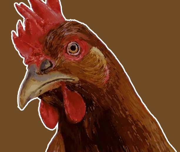 NH2 illustrated chicken logo